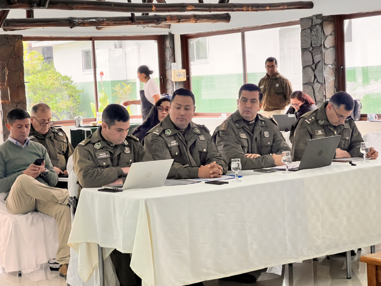 Sesión S.T.O.P. de Carabineros Curicó: Detenciones están sobre la media y delitos van a la baja