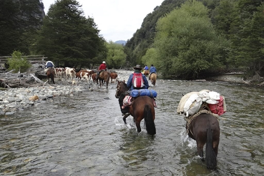 Municipio de Romeral realiza patrullajes para verificar descenso de arrieros desde la cordillera