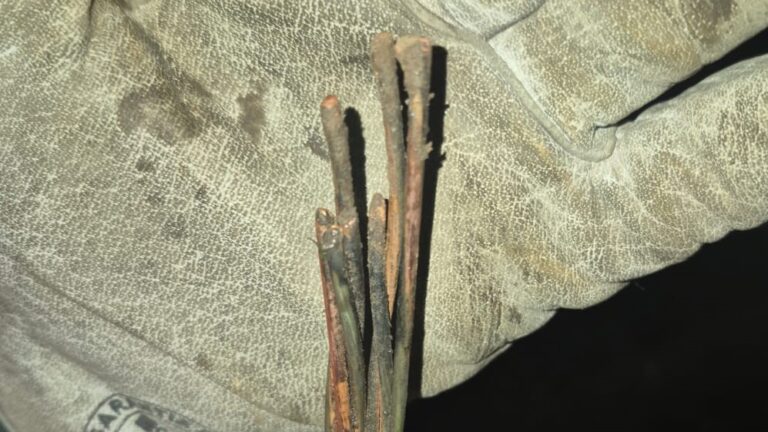Investigan intervención de terceros: El cable cortado que dejó sin energía a seis comunas del Maule