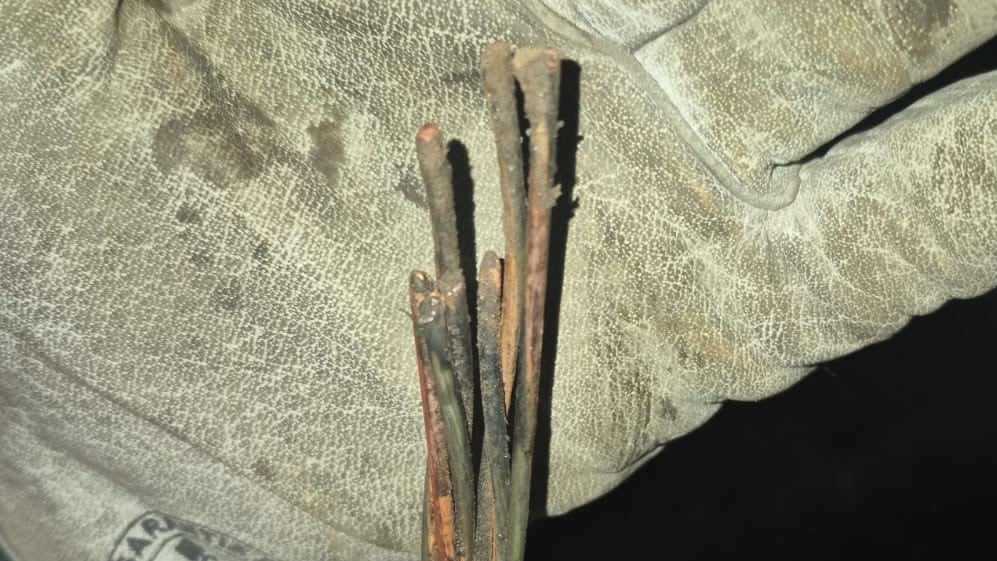 Investigan intervención de terceros: El cable cortado que dejó sin energía a seis comunas del Maule