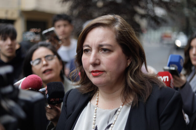 Senadora emplaza a ministra Steinert por falta de plan de seguridad: "Necesitamos acciones concretas"