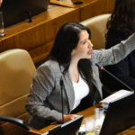 “Cobardes y sinvergüenzas”: El duro emplazamiento de la diputada Veloso al Gobierno por Megarreforma