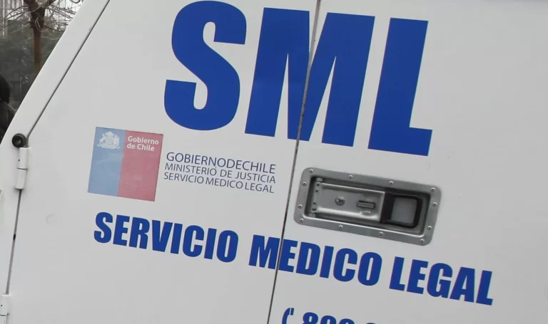 Trágico incendio en Linares: Mujer de 65 años muere en siniestro en sector Palmilla