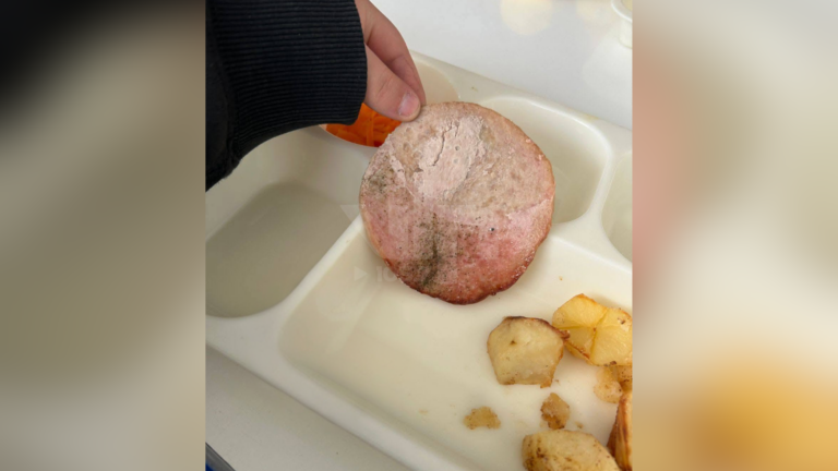 Denuncian precarias raciones de Junaeb en colegio de Molina