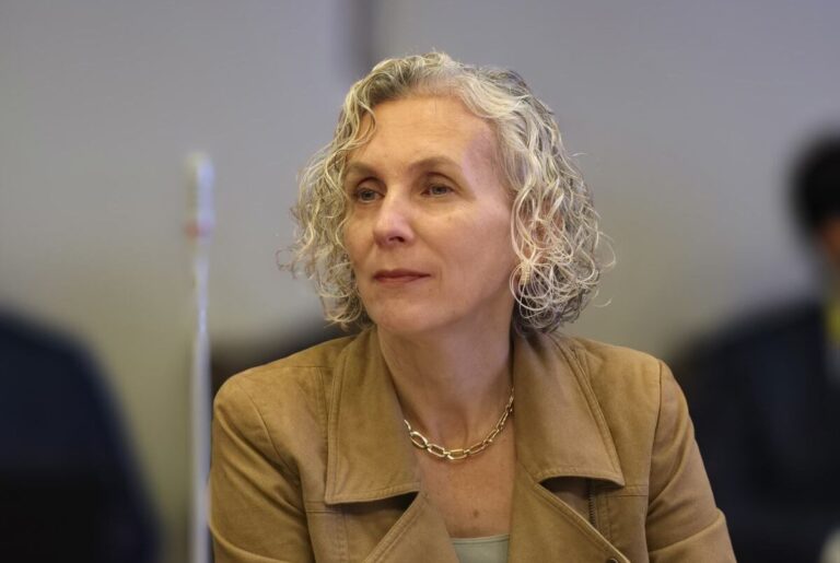 Diputada Castillo exige al Gobierno mejores condiciones para deudores del CAE
