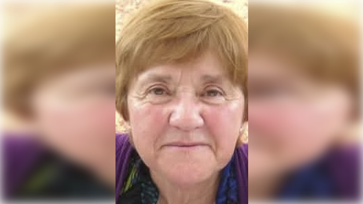 El legado de la exprofesora que perdió la vida en trágico atropello en Curicó