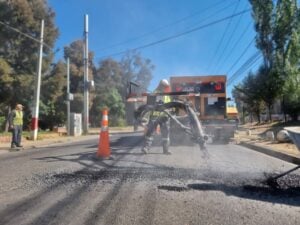Alcalde de Curicó aborda crisis comercial y apunta a compleja situación frutícola