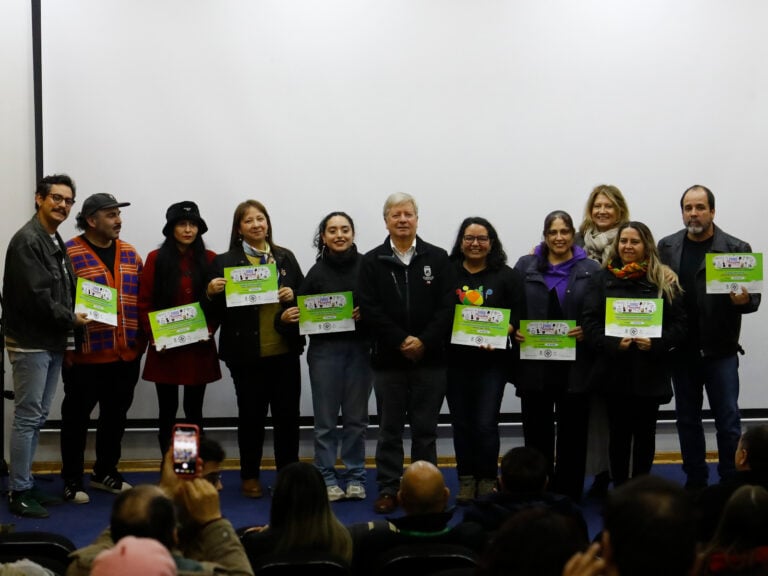 Municipalidad de Curicó destina más de 60 millones de pesos para financiar proyectos culturales