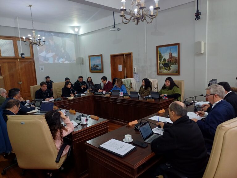 Concejo Municipal de Curicó aprueba nuevo programa de mejoramiento de áreas verdes