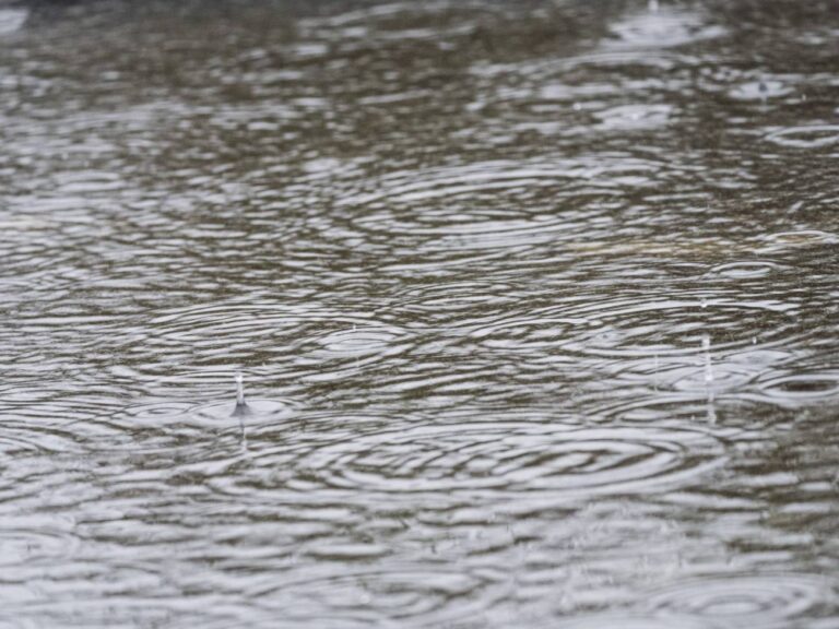 Canales del sector Sarmiento en Curicó presentan desbordes por precipitaciones