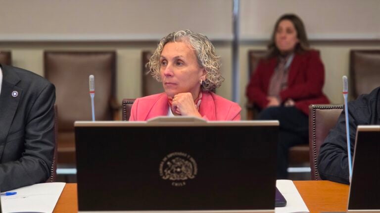 Diputada Castillo hace un llamado en la Comisión de Hacienda a proteger el talento infantil