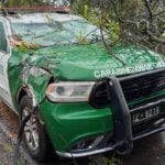 Árbol cae sobre patrulla de Carabineros durante recorrido preventivo en el sector La Hacienda de Teno