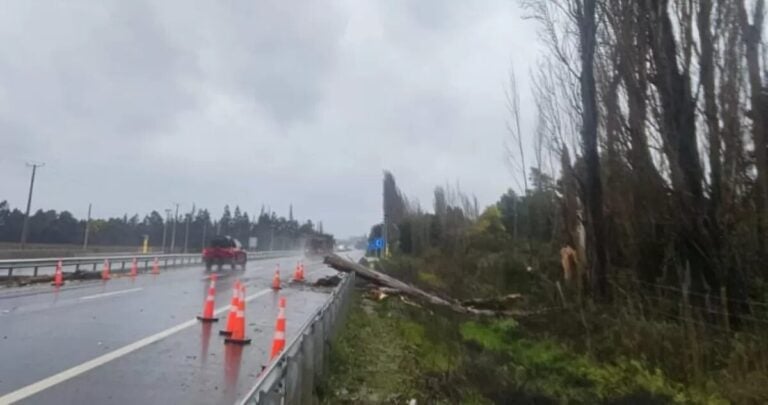 Tragedia en Negrete: Trabajador fallece al ser golpeado por árbol durante sistema frontal