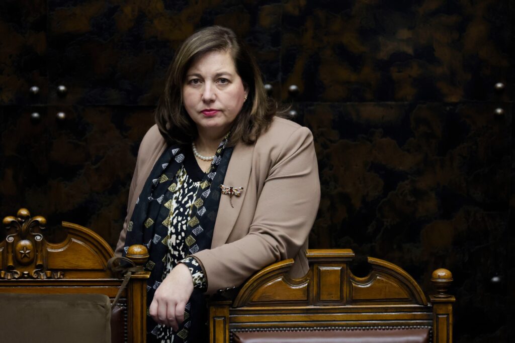 Vodanovic desmiente acuerdo por reforma tributaria y defiende postura del PS
