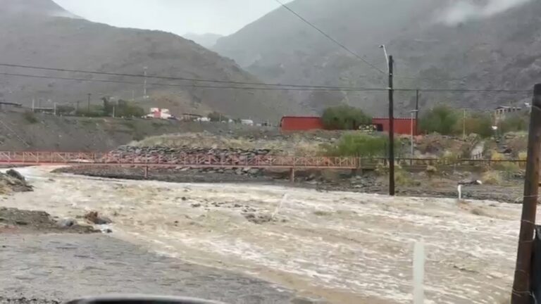 Buscan a criancera desaparecida tras alud de nieve en Alto del Carmen