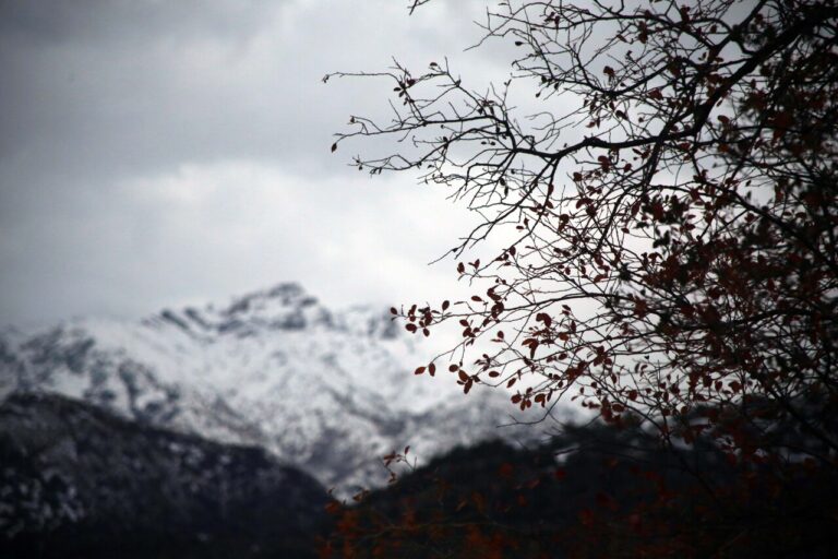 Delegación Presidencial anuncia la reapertura de rutas cordilleranas en la provincia de Curicó