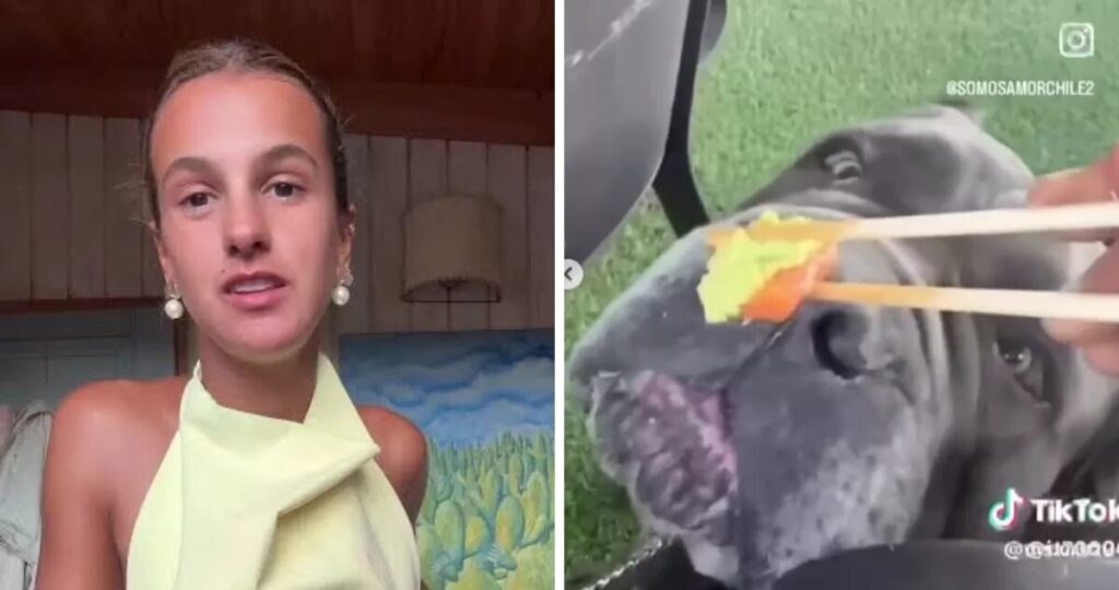 Influencer chilena queda en el ojo del huracán tras darle wasabi a su perro