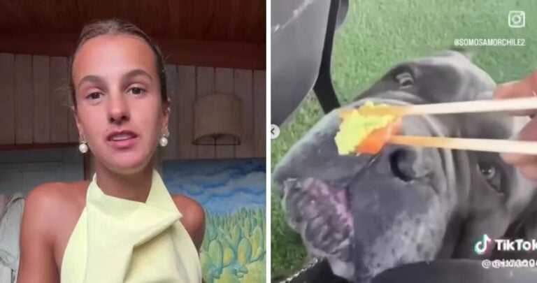 Influencer chilena queda en el ojo del huracán tras darle wasabi a su perro