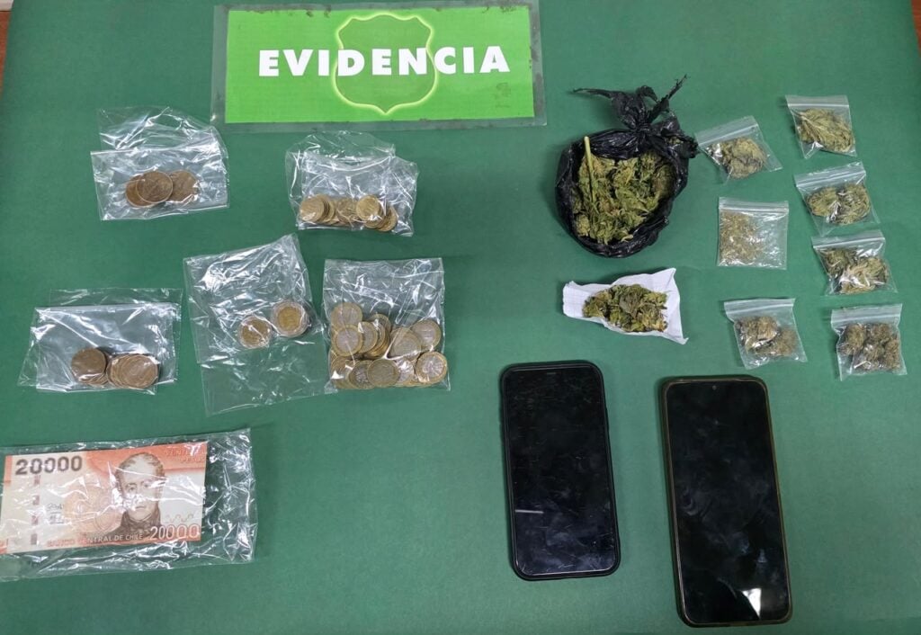 Fiscalización vehicular culmina con dos traficantes detenidos en la comuna de Molina