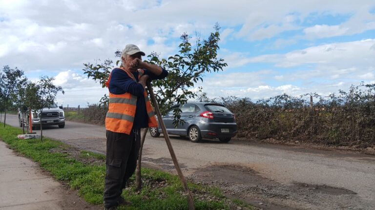 A punta de pala, tierra y amor: La historia del matrimonio que arregla las calles en Curicó