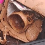 Misterio resuelto en Los Niches: PDI aclara origen del cráneo humano hallado en la basura
