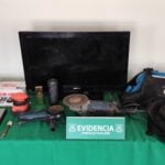 Carabineros detiene a dos sujetos por receptación y recupera especies robadas en Licantén