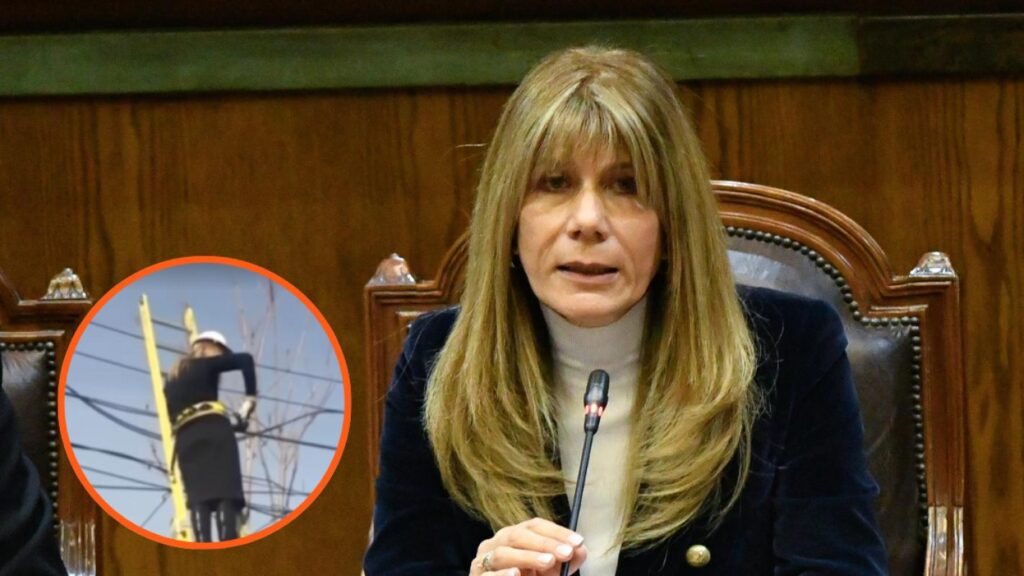 Ximena Rincón aclara video en tendido eléctrico: "Como somos un gobierno fome, quisimos darle pimienta"