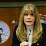 Ximena Rincón aclara video en tendido eléctrico: "Como somos un gobierno fome, quisimos darle pimienta"