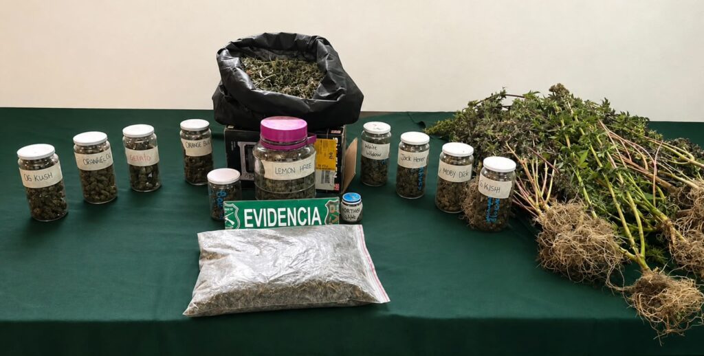 OS7 de Carabineros detiene a sujeto con más de dos kilos de marihuana en San Clemente