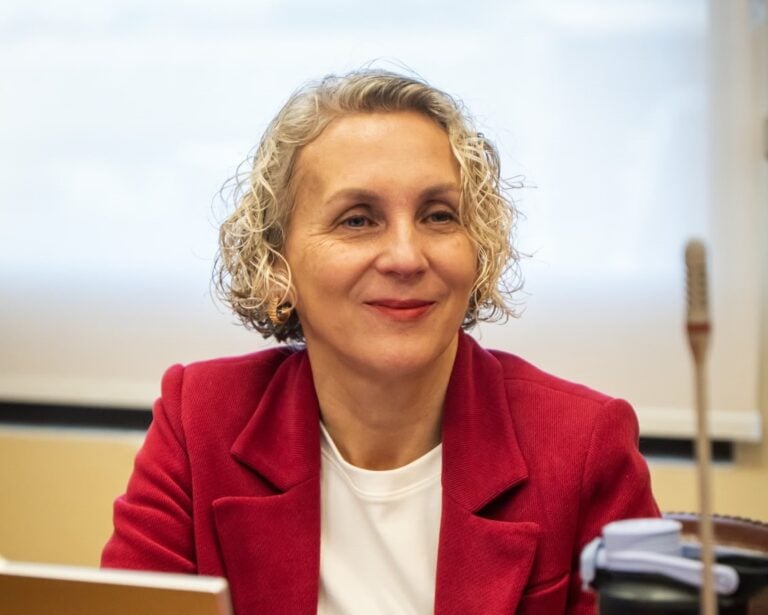 Diputada Castillo exige medidas para reactivar empleo femenino y apoyar postnatal hasta el año de vida