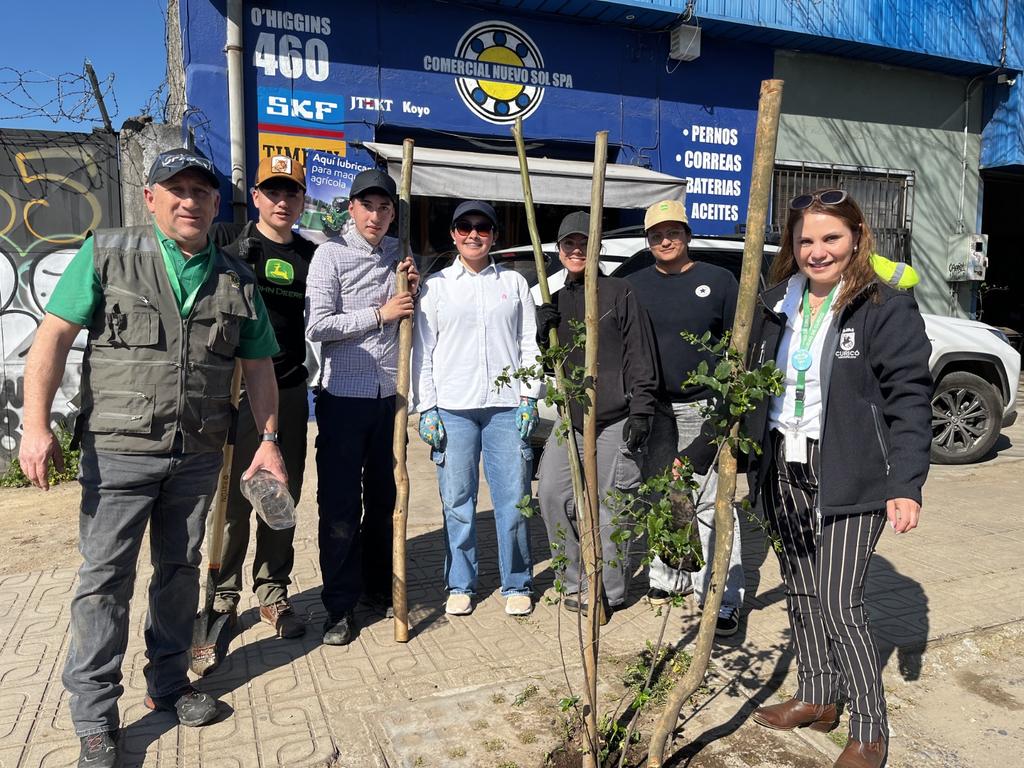 Municipio de Curicó inició tercera etapa de arborización en el casco histórico