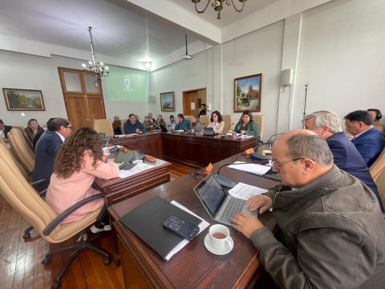 Concejales piden mesa de trabajo interinstitucional por malos olores en Curicó