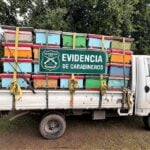 Detienen a tres hombres acusados del robo de 87 colmenas de abejas en la comuna de Teno