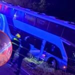 Conductor de bus interurbano fallece tras chocar contra una ladera en la ruta hacia Pichilemu