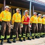 Región del Maule adelanta la implementación de brigadas forestales de la Conaf ante pronóstico de olas de calor