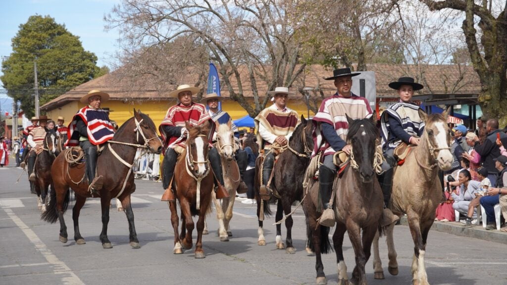 Molina preserva sus tradiciones y convoca a más de 130 instituciones en seis desfiles cívicos de Fiestas Patrias