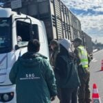 Tras millonario robo de animales: Carabineros despliega amplio operativo preventivo en feria ganadera de Curicó