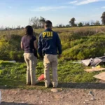 Prisión preventiva para sujeto que faenó y asó a un perro en La Pintana