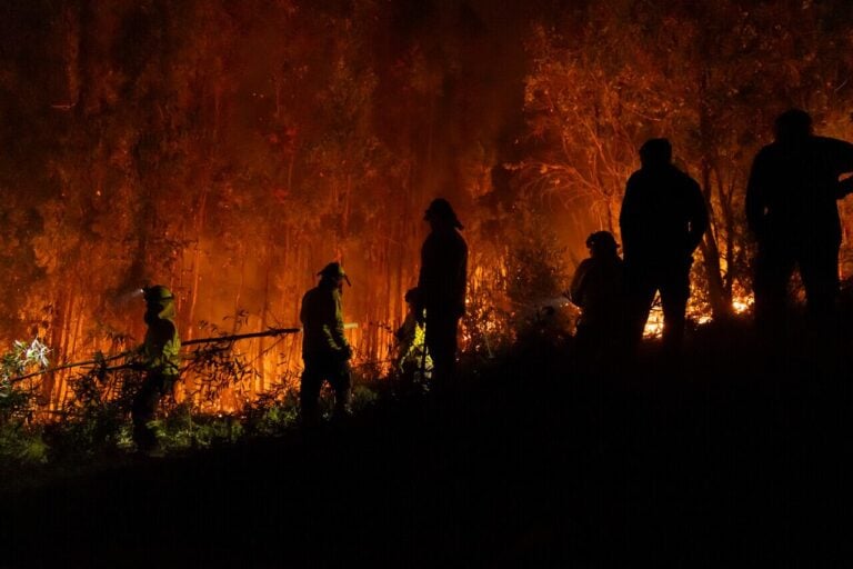 De la cárcel a la prohibición total: Maule alista severo plan y sanciones por incendios forestales