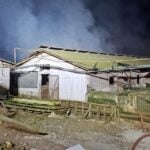 Labocar de Carabineros asume peritajes por incendio que provocó la muerte de cuatro mil cerdos en Los Niches