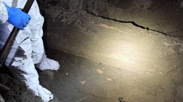 Prisión preventiva para imputado por homicidio y ocultamiento de cadáver en playa de Tregualemu