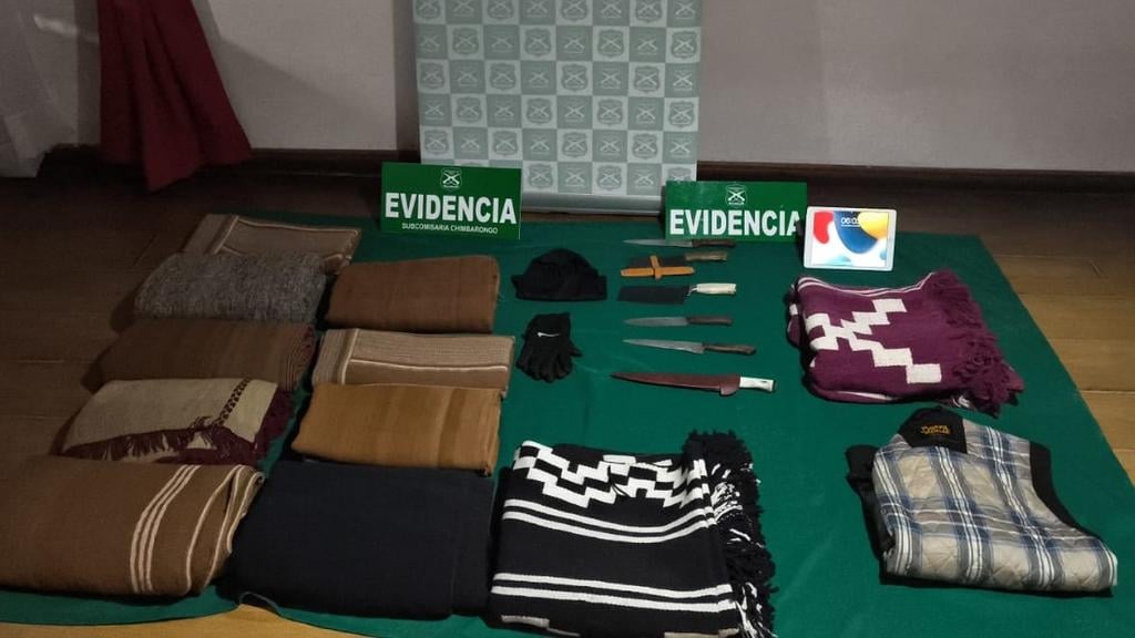 Carabineros detiene a seis sujetos y recupera botín de 15 millones de pesos tras robo a vivienda en Chimbarongo