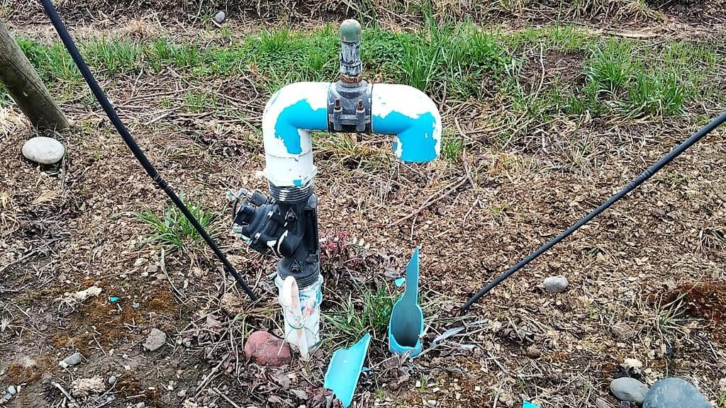 Denuncian robo de llaves de riego tecnificado en predios frutícolas de Sagrada Familia