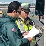 Carabineros y el SAG intensifican controles en rutas de la provincia de Curicó para frenar el abigeato