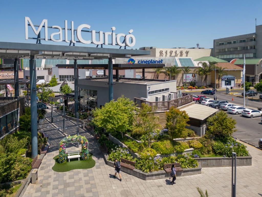 Mall Curicó: Panoramas gratuitos de danza, ciencia y adopción de mascotas en octubre