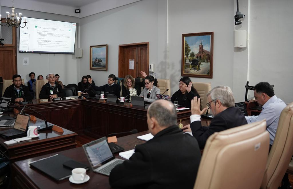 Concejo municipal de Curicó aprobó importante subvención a Fundación Las Rosas