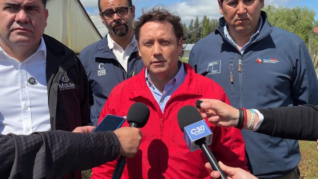 Gobernador del Maule solicita declarar zona de emergencia agrícola tras histórica caída de granizos