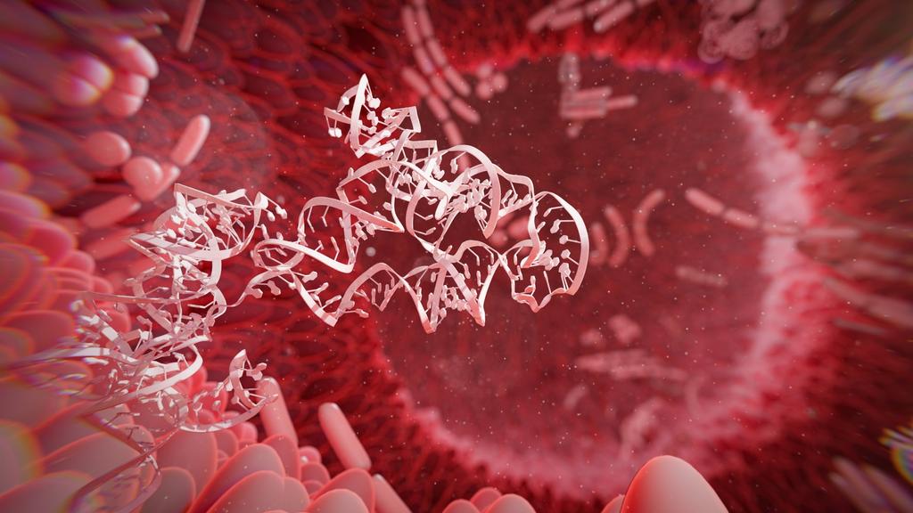 Azúcar y cáncer: Estudio revela vínculo entre alto consumo, microbiota y peores resultados en pacientes