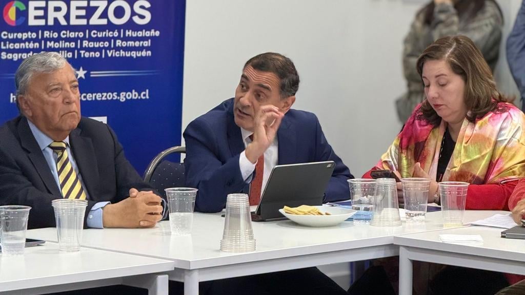 Parlamentarios del Maule rechazan aplazamiento del SLEP Los Cerezos y acusan "decisión política"