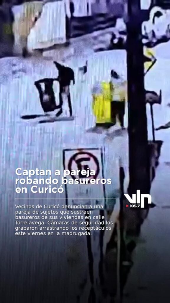 Captan a pareja robando basureros en Curicó